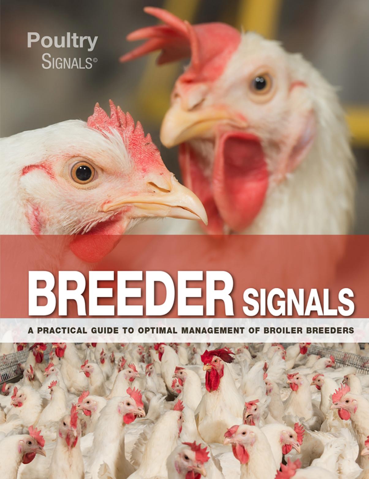 Breeder Signals, A Practical Guide to Optimal Management of Broiler Breeders