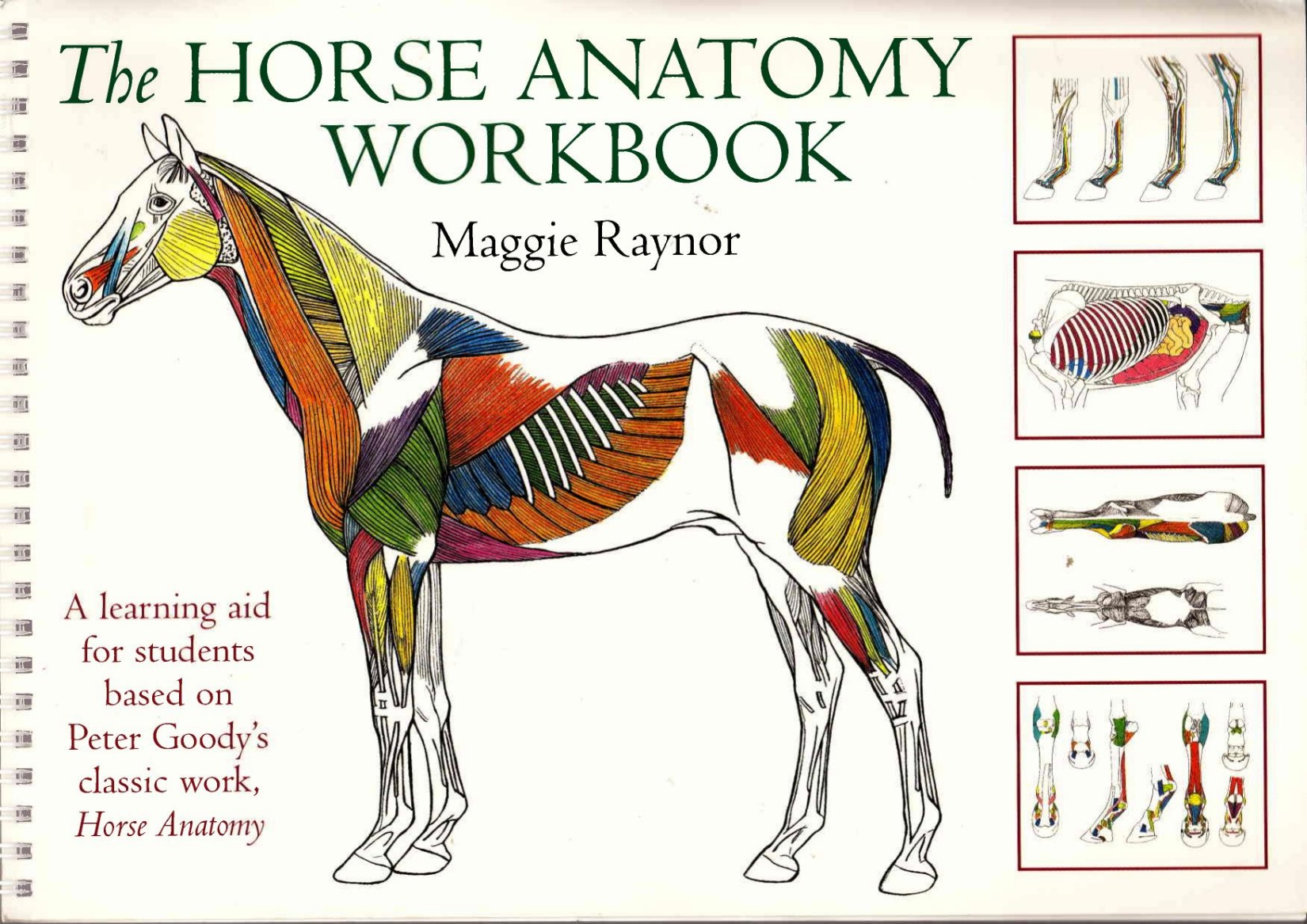 The Horse Anatomy Workbook