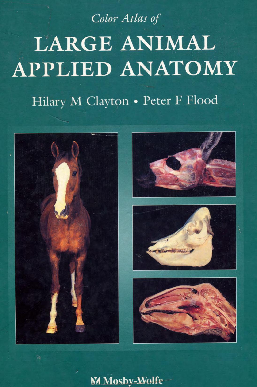 Color Atlas of Large Animal Applied Anatomy, 1st edition (1996)